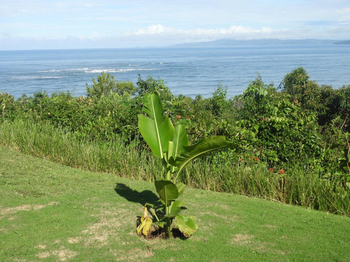 El Nido Del Tucan Villa Torio Eksteriør billede