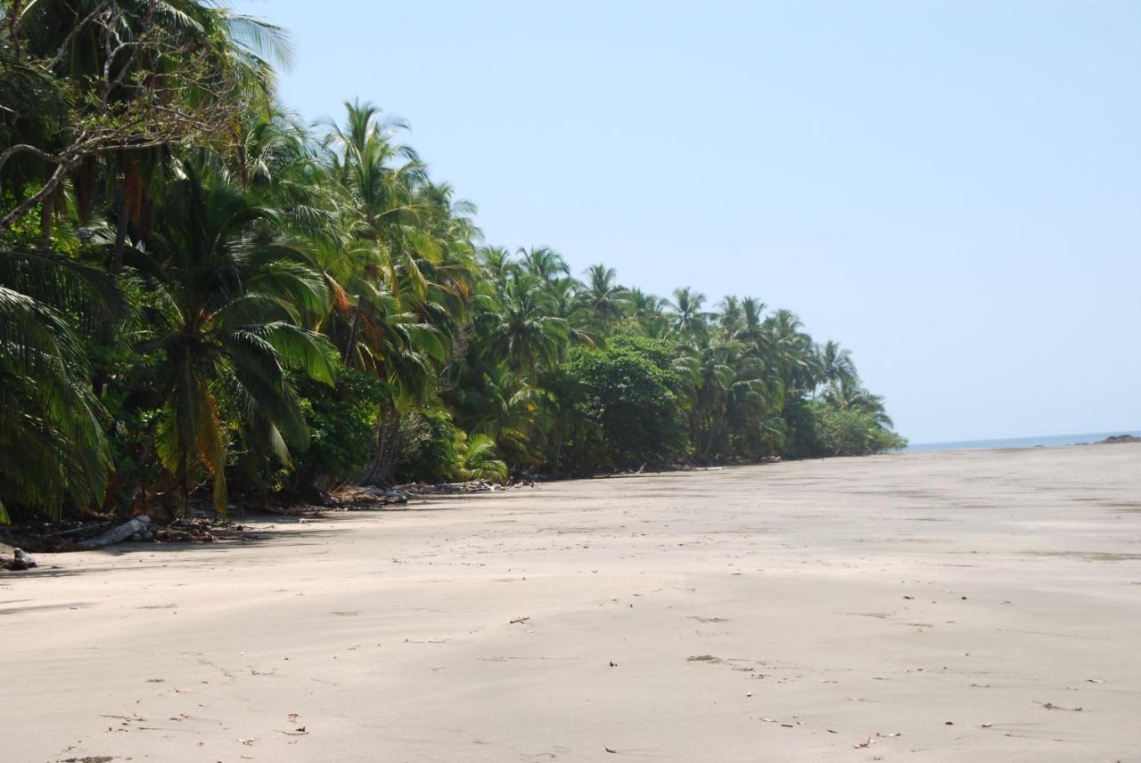 El Nido Del Tucan Villa Torio Eksteriør billede