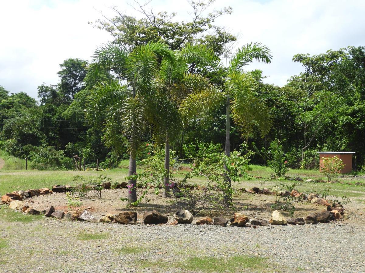 El Nido Del Tucan Villa Torio Eksteriør billede