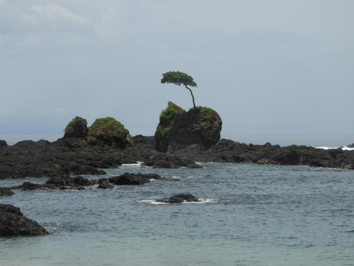 El Nido Del Tucan Villa Torio Eksteriør billede